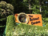 Butchart Garden