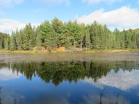 Im Algonquin Nationalpark