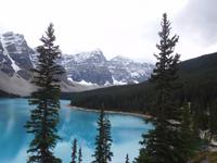 mundwasserfarbener Lake Moraine im Banff Nationalpark