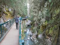 kleine Wanderung im Johnston Canyon
