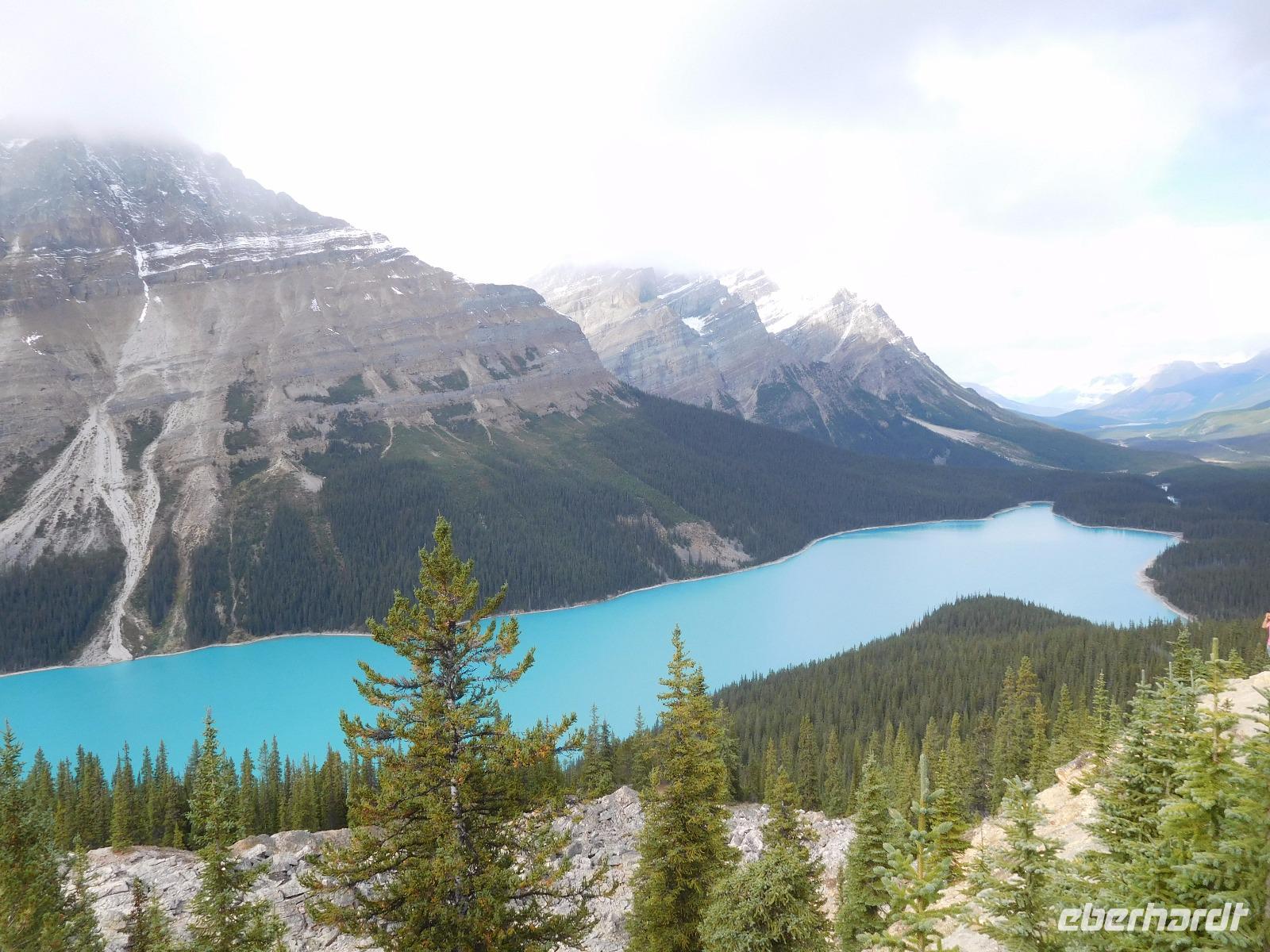 Lake Peyto in Kanada