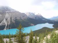 Lake Peyto in Kanada