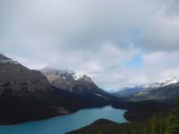 Lake Peyto in Kanada