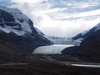 Gletscherzunge im Columbia Icefield