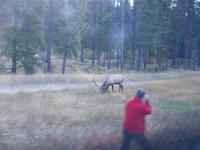 ... und die Paparazzi dazu