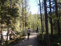 Wanderung Maligne Canyon