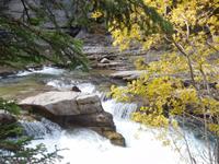 tosendes Wasser im Maligne Canyon