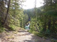 Wälder beim Maligne Canyon