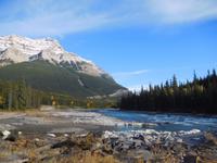Athabasca Falls