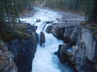 Sunwapta Wasserfall