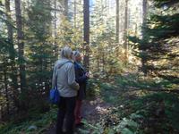 Wanderung zum Mount Robson