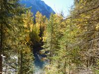 Wanderung zum Mount Robson