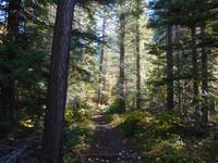 Wanderung zum Mount Robson
