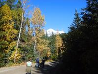Wanderung zum Mount Robson