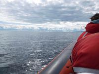 Fahrt mit dem Zodiac