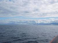 erste kleine Walsichtung