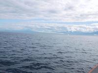 gaaaanz weit hinten eine Fontäne