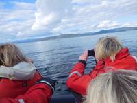 Whale-Watching in Victoria