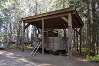 Algonquin Park - Logging Trail