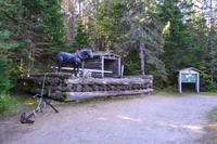 Algonquin Park - Logging Trail