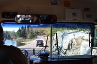 Wildlife Safari im Parc Omega