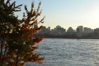 Skyline von Montréal