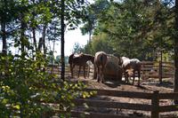 Entspannung am Lac Taureau