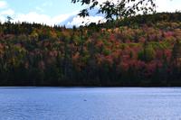 Indian Summer auf dem Weg nach Tadoussac