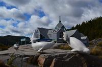 Marine Mammal Interpretation Centre in Tadoussac