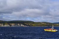 Whale Watching in Tadoussac