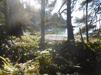Strand auf Vancouver Island