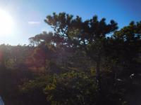 Bog Way Vancouver Island