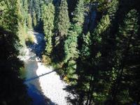 Blick von der Capilano Bridge