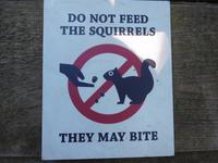 Bitte nicht die Eichhörnchen füttern!