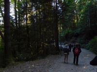 Wanderung zur Hatchery