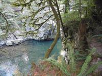 Wanderung zur Hatchery