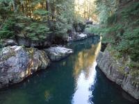 Capilano River Hatchery