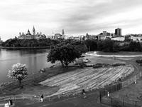 Blick auf das Parlament von Ottawa