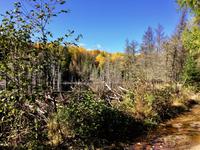 Wanderung am Lac Taureau