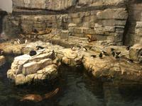 Biodome von Montreal 