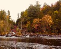 Indian Summer im Algonquin Park