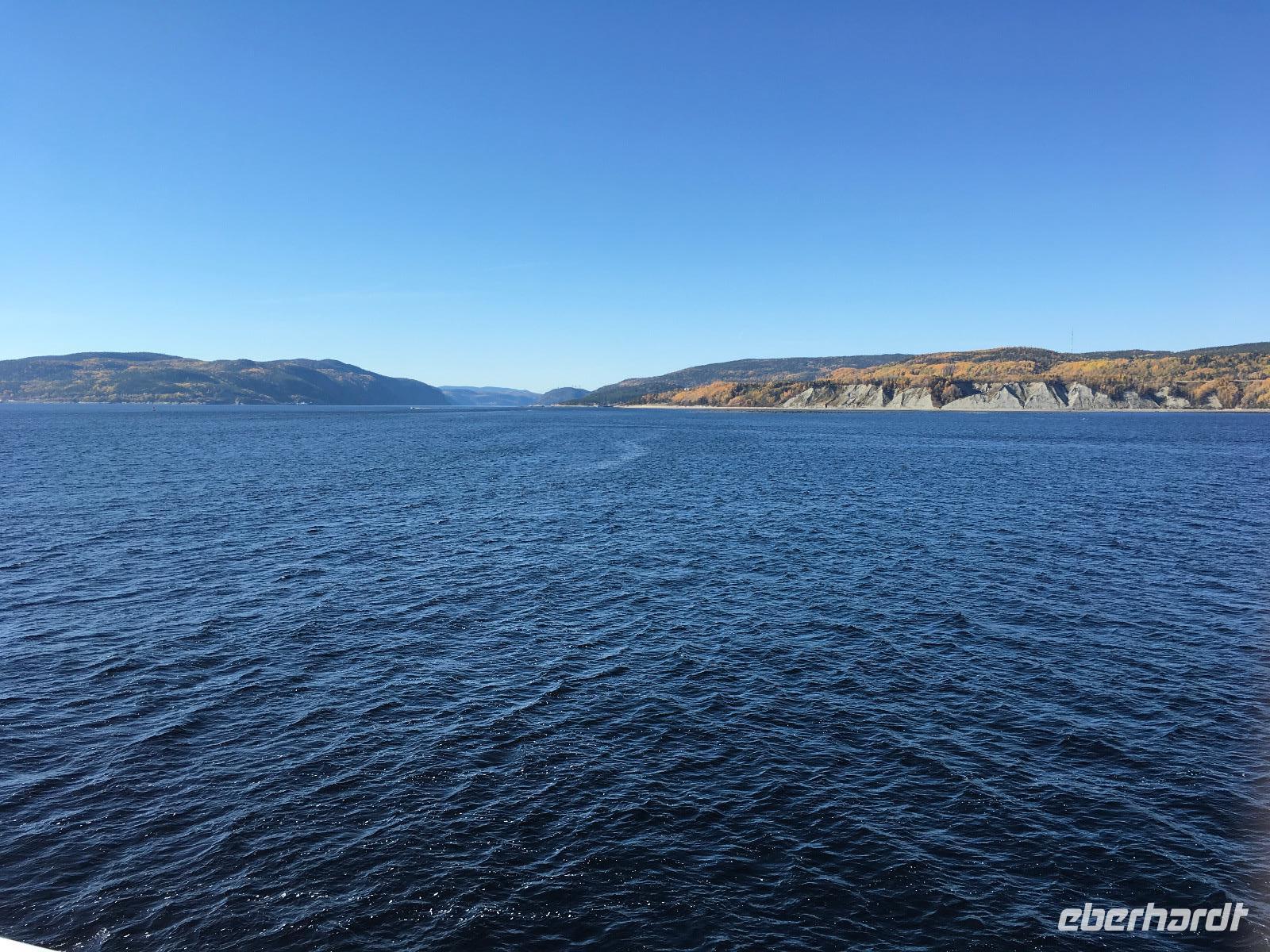 Walbeobachtung auf dem St. Lorenz-Strom