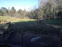 Omega Wildpark