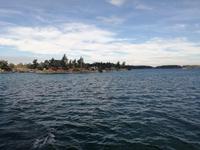 Bootsfahrt zu den 1.000 Inseln