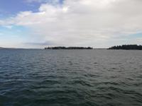 Bootsfahrt zu den 1.000 Inseln