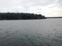 Bootsfahrt zu den 1.000 Inseln