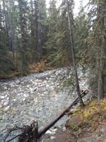 Johnston Canyon
