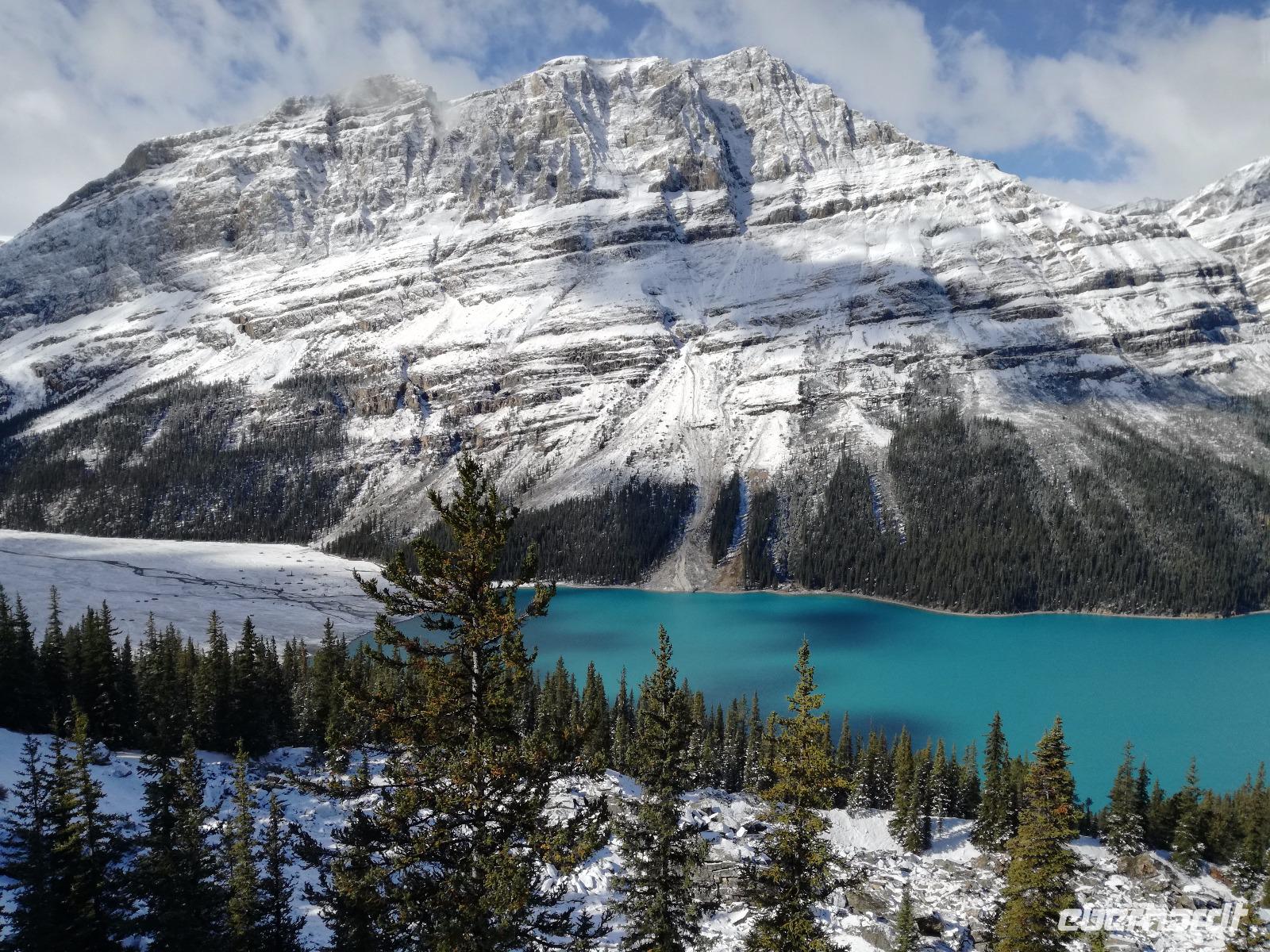 Peyto Lake