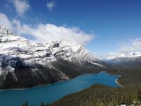 Peyto Lake