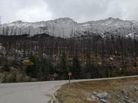 Jasper Nationalpark 